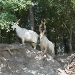 Podere Suvignano *