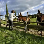 Podere Suvignano *