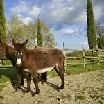 Podere Suvignano 빌라