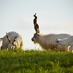 Podere Suvignano *