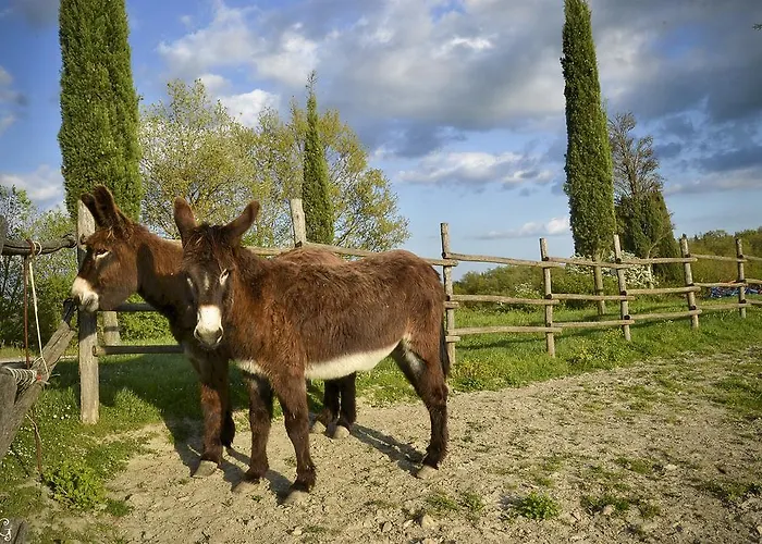 Podere Suvignano Villa