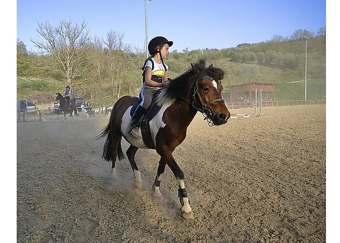 Podere Suvignano * Murlo